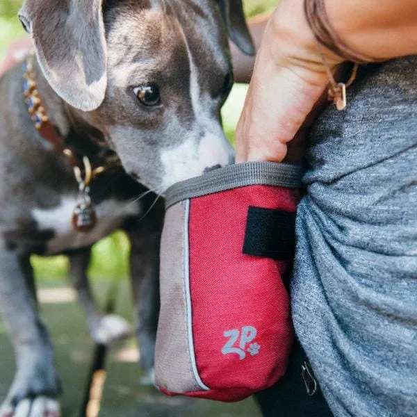 [10% OFF] ZippyPaws Adventure Graphite Dog Treats Bag