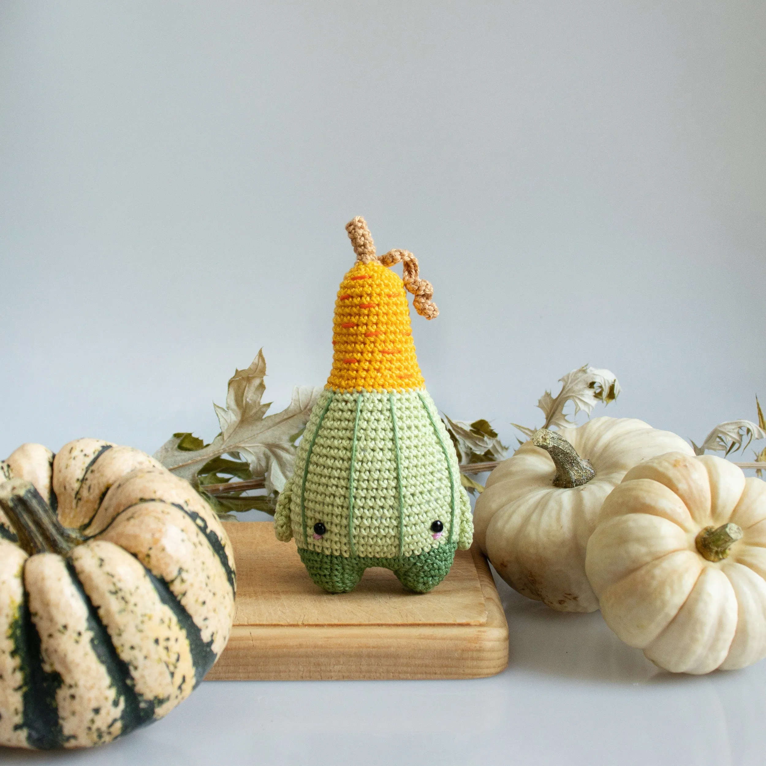 Amigurumi Crochet Kit . Thanksgiving