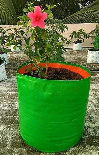 GroWonder Plant Grow Bags 15in x 15in, Terrace Gardening Vegetable Planting Pots, Woven Fabric Leafy Fruits Growing Containers- Pack of 10