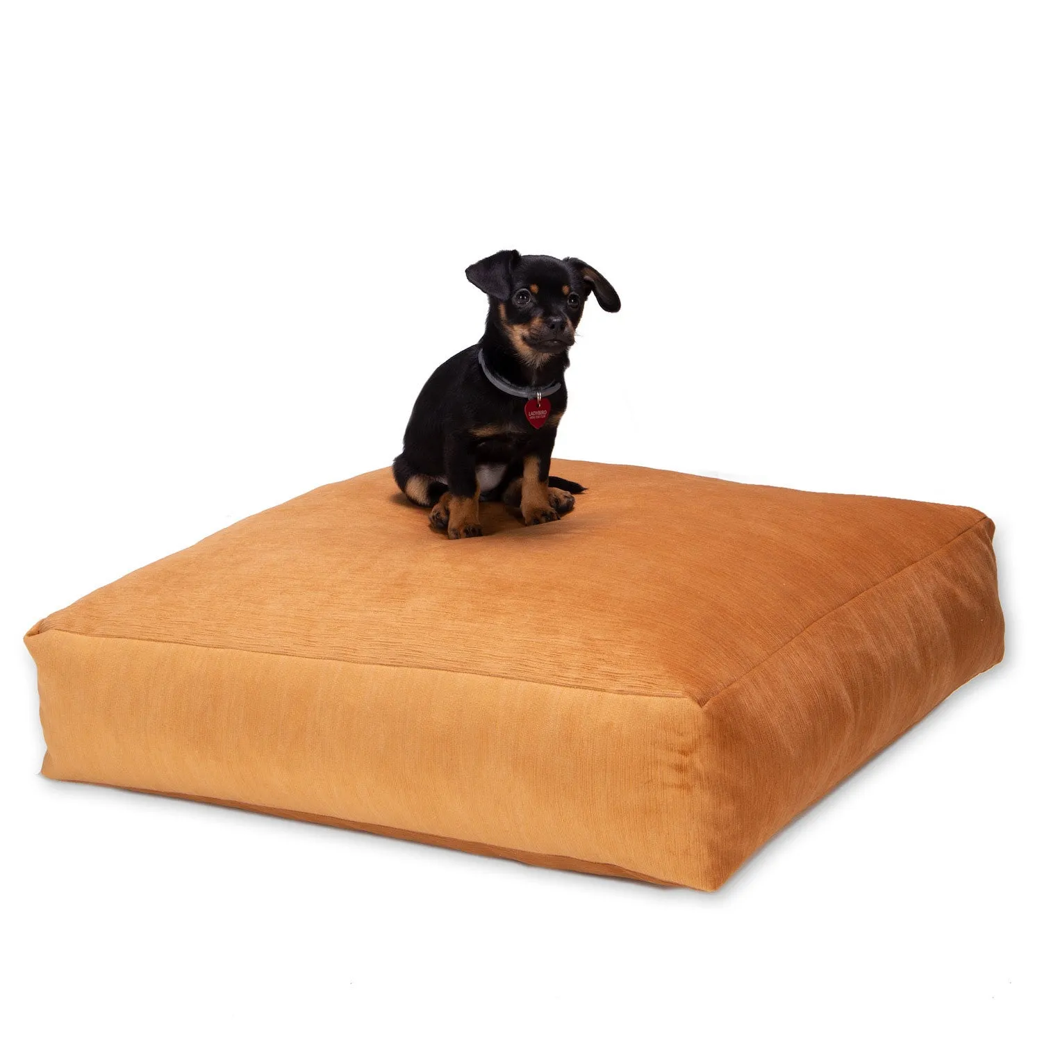 Jaxx Brio Large Décor Floor Pillow & Yoga Cushion