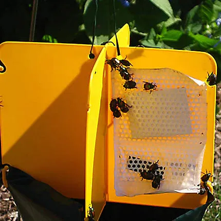 SAFER® BRAND JAPANESE BEETLE TRAP - 1 TRAP