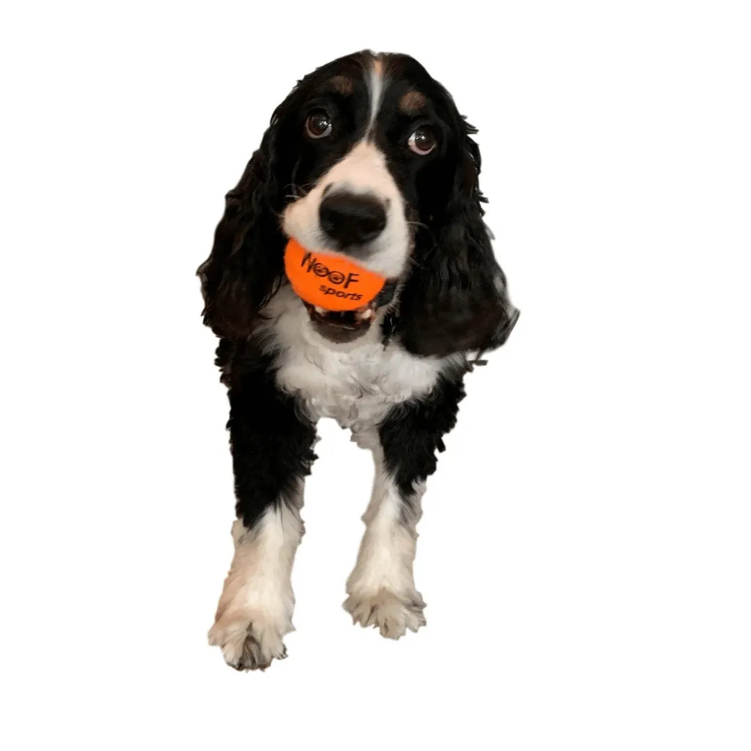 Woof Sports Tennis Balls Dog Toy Unit